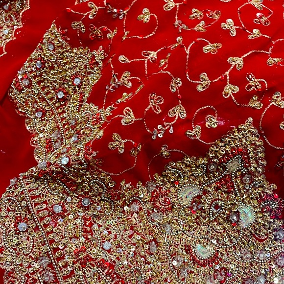 Bridal Zardosi Saree - Picture 1 of 2